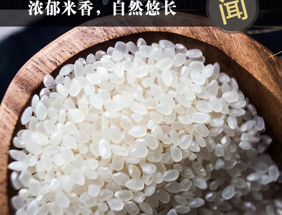dnf 奶爸移速